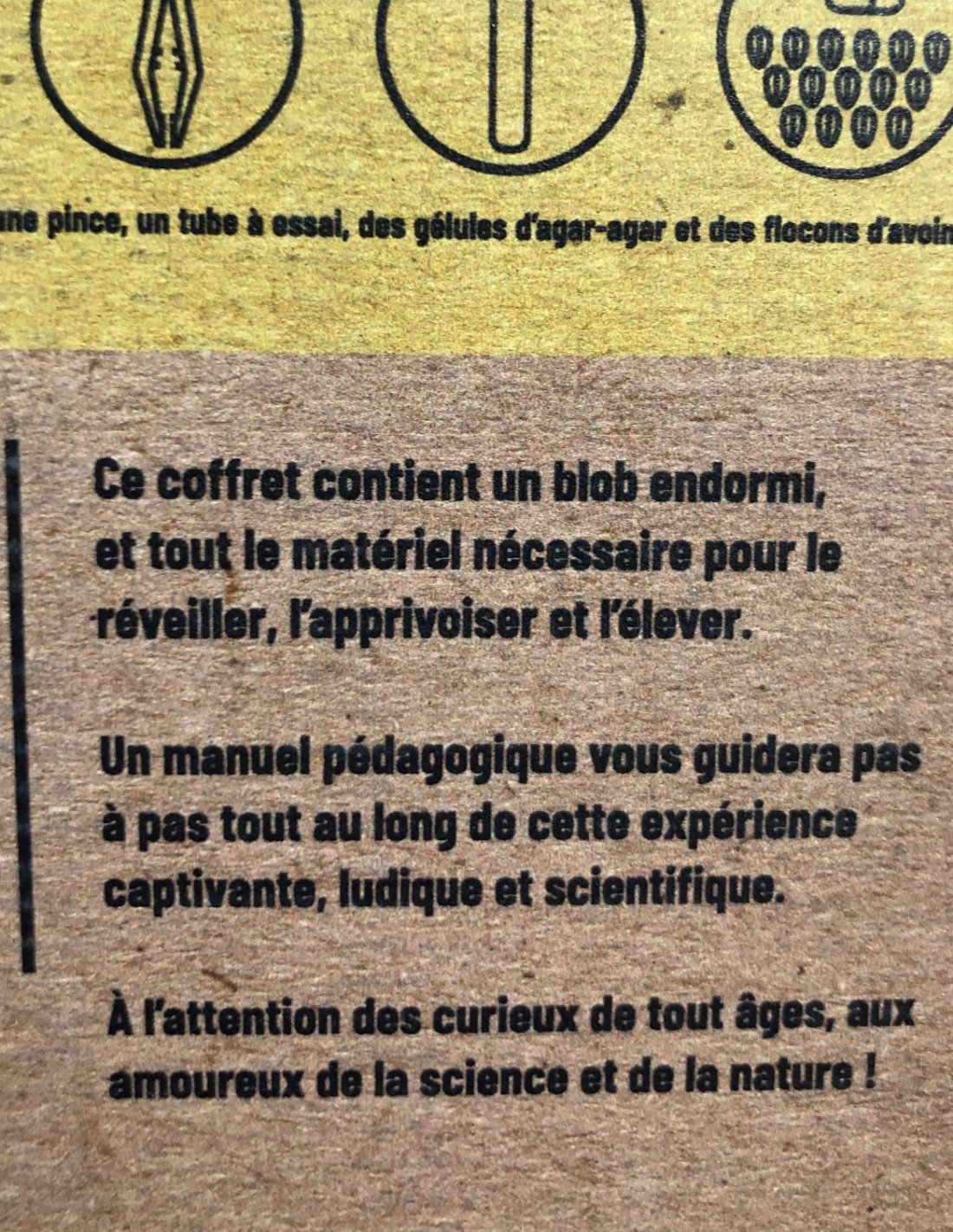 Blob Kit Vivant de Culture, 3 Blobs (Jaune et Orange) + Labyrinthe et  colorants d'expérimentation + Guide Complet, Élevage Français Premium