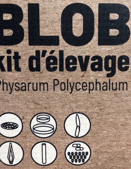 KIT DE CULTURE Blob/Physarum Polycephalum + Expériences + Manuel d